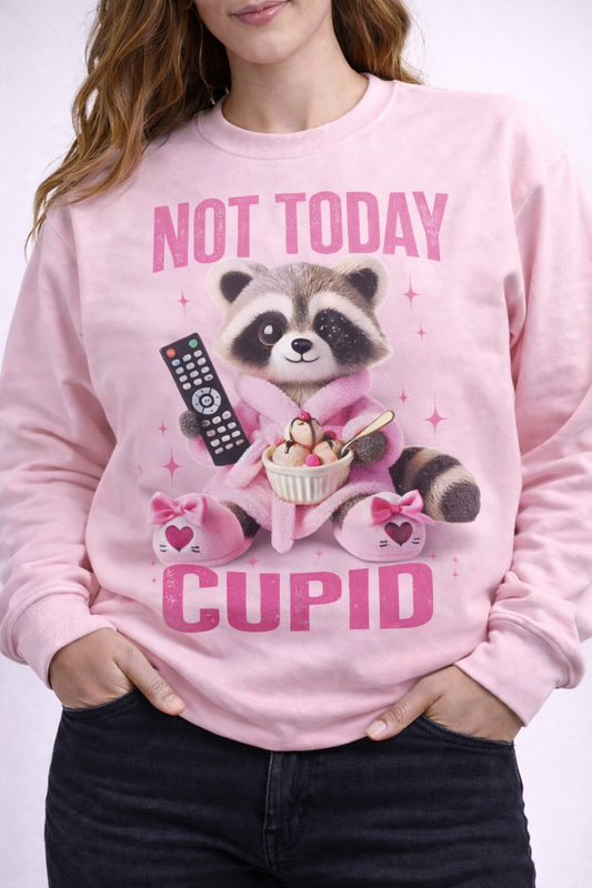 Not Today Cupid” Graphic Sweatshirt – Cozy & Cute Edition